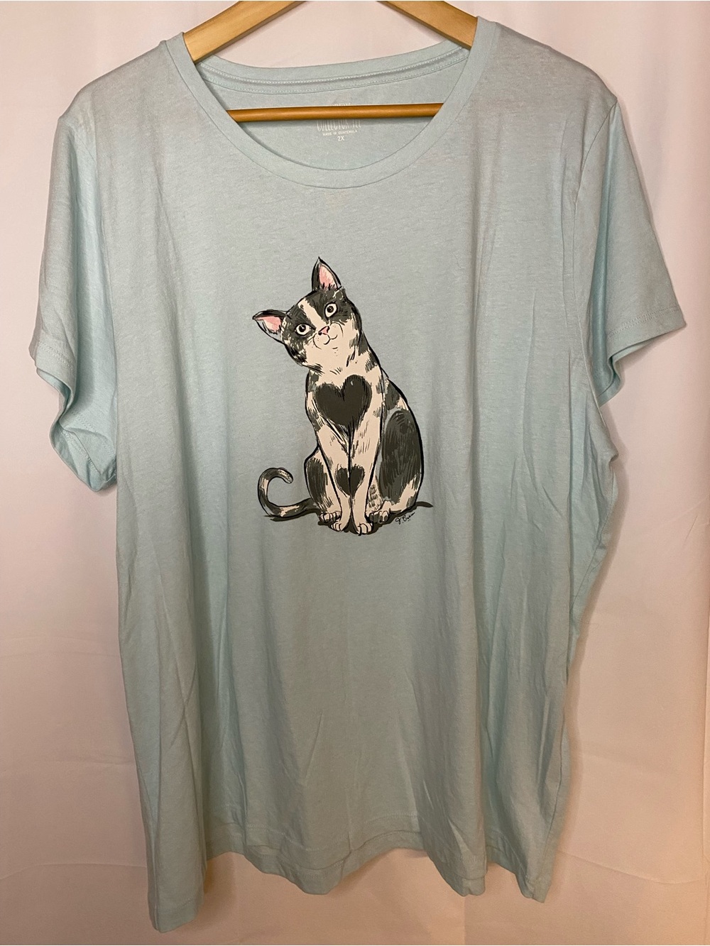 J.Crew Factory Collector Short Sleeve graphic T women’s plus size 2X